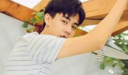 谢彬彬前女友爆料视频大全,揭秘明星感情生活背后真相